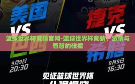 篮球世界杯竞猜官网-篮球世界杯竞猜，激情与智慧的碰撞