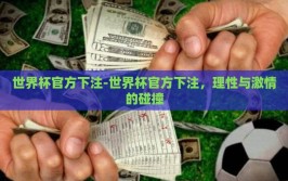 世界杯官方下注-世界杯官方下注，理性与激情的碰撞