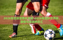 2026年足球世界杯竞猜-2026年足球世界杯，激情与预测的交汇