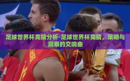 足球世界杯竞猜分析-足球世界杯竞猜，策略与洞察的交响曲