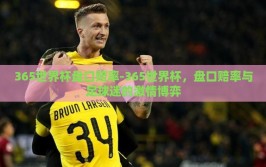 365世界杯盘口赔率-365世界杯，盘口赔率与足球迷的激情博弈