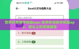 世界杯竞猜手机版app-世界杯竞猜手机版app，指尖上的足球盛宴