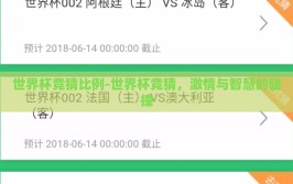 世界杯竞猜比例-世界杯竞猜，激情与智慧的碰撞