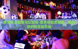 世界杯去哪里可以玩啊-世界杯狂欢指南，解锁你的玩乐新天地