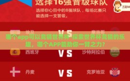 哪个app可以竞猜世界杯-探索世界杯竞猜的乐趣，哪个APP能助你一臂之力？