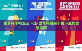 世界杯手机怎么下注-世界杯期间手机下注的智慧指南