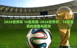 2026世界杯 16强竞猜-2026世界杯，16强竞猜的激情与预测