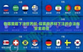 在哪里能下注世界杯-探索世界杯下注的合法与安全途径