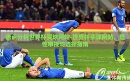 盘点分析世界杯买球网站-世界杯买球网站，理性审视与选择指南
