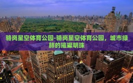 骆岗星空体育公园-骆岗星空体育公园，城市绿肺的璀璨明珠