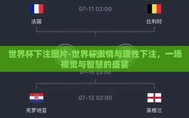 世界杯下注图片-世界杯激情与理性下注，一场视觉与智慧的盛宴