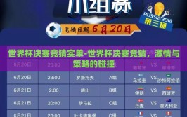 世界杯决赛竞猜实单-世界杯决赛竞猜，激情与策略的碰撞