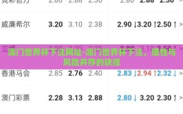 澳门世界杯下注网址-澳门世界杯下注，理性与风险并存的抉择
