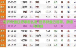 世界杯盘口赔率怎么看-世界杯盘口赔率，解读与策略