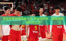 男篮世界杯在哪里下注-男篮世界杯，激情与策略的交汇点