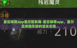星空体育app里尔赞助商-星空体育app，里尔足球俱乐部的坚实后盾