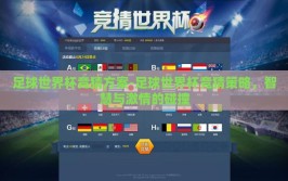 足球世界杯竞猜方案-足球世界杯竞猜策略，智慧与激情的碰撞