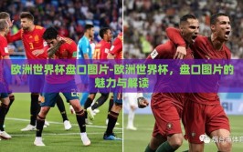 欧洲世界杯盘口图片-欧洲世界杯，盘口图片的魅力与解读