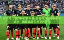 实测对比世界杯竞猜平台-世界杯竞猜平台实测对比，揭秘哪款应用更胜一筹