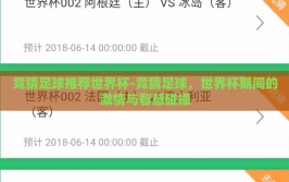 竞猜足球推荐世界杯-竞猜足球，世界杯期间的激情与智慧碰撞