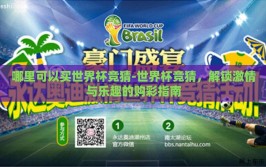 哪里可以买世界杯竞猜-世界杯竞猜，解锁激情与乐趣的购彩指南