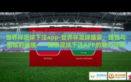 世界杯足球下注app-世界杯足球盛宴，理性与激情的碰撞——探索足球下注APP的魅力与风险