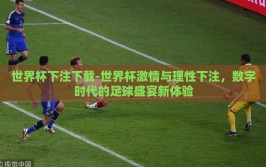 世界杯下注下载-世界杯激情与理性下注，数字时代的足球盛宴新体验