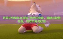 世界杯竞猜怎么赢钱-世界杯竞猜，策略与智慧并重，赢取乐趣与收益