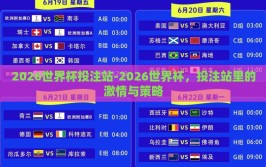 2026世界杯投注站-2026世界杯，投注站里的激情与策略