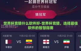 世界杯竞猜什么软件好-世界杯竞猜，选择最佳软件的智慧指南
