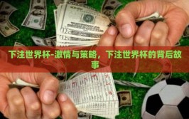 下注世界杯-激情与策略，下注世界杯的背后故事