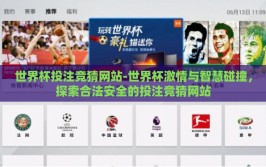 世界杯投注竞猜网站-世界杯激情与智慧碰撞，探索合法安全的投注竞猜网站