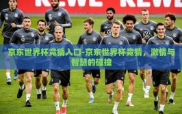 京东世界杯竞猜入口-京东世界杯竞猜，激情与智慧的碰撞