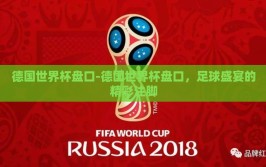 德国世界杯盘口-德国世界杯盘口，足球盛宴的精彩注脚