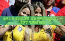 淘宝世界杯竞猜彩票-淘宝世界杯竞猜彩票，一场数字与激情的碰撞
