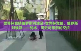 世界杯竞猜俄罗斯对埃及-世界杯竞猜，俄罗斯对埃及——战术、历史与预测的交织