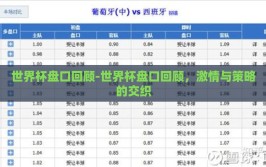 世界杯盘口回顾-世界杯盘口回顾，激情与策略的交织