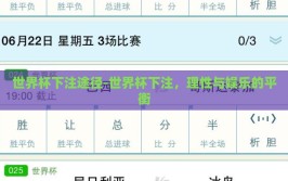 世界杯下注途径-世界杯下注，理性与娱乐的平衡