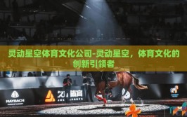 灵动星空体育文化公司-灵动星空，体育文化的创新引领者