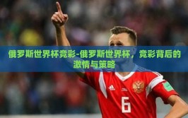 俄罗斯世界杯竞彩-俄罗斯世界杯，竞彩背后的激情与策略
