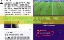 世界杯足彩竞猜淘宝-世界杯足彩竞猜，淘宝上的激情与智慧