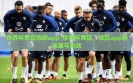 世界杯竞猜体彩app-世界杯竞猜，体彩app的乐趣与挑战