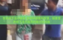 世界杯下注小程序-世界杯激情与智慧，探索世界杯下注小程序的魅力与风险