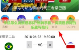 手机怎么竞猜世界杯-玩转手机，竞猜世界杯的乐趣与技巧