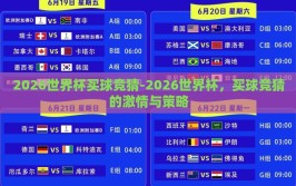 2026世界杯买球竞猜-2026世界杯，买球竞猜的激情与策略