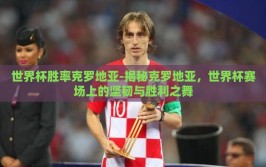 世界杯胜率克罗地亚-揭秘克罗地亚，世界杯赛场上的坚韧与胜利之舞