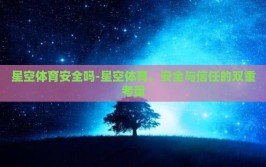星空体育安全吗-星空体育，安全与信任的双重考量