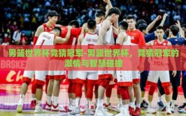 男篮世界杯竞猜冠军-男篮世界杯，竞猜冠军的激情与智慧碰撞