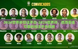 2026世界杯投注平台-2026世界杯，选择安全可靠的投注平台指南