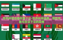 世界杯预选赛在哪下注-世界杯预选赛，理性观赛与合法下注的指南